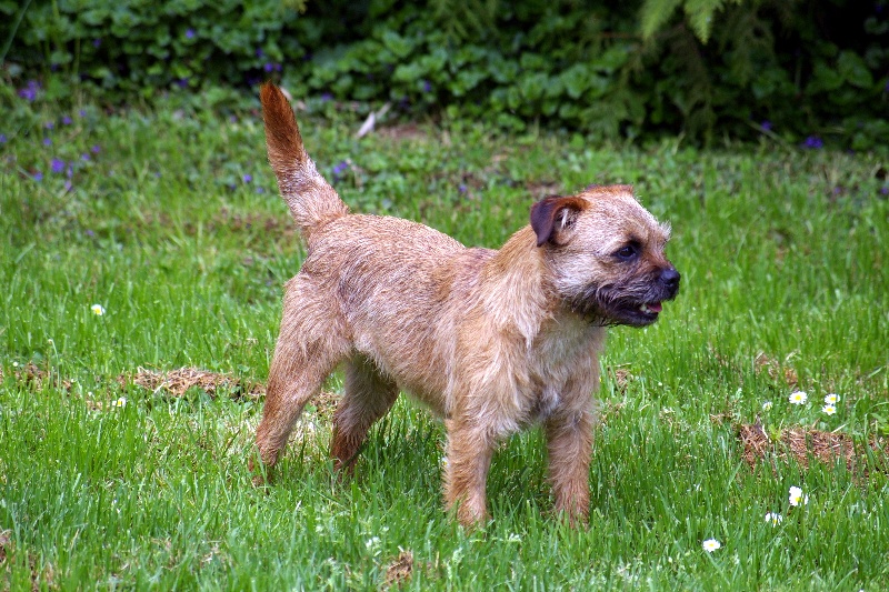 Graine d'astuce Des petites nouches