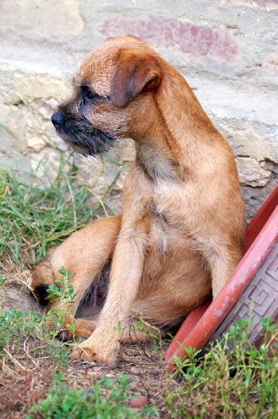 Graine d'astuce Des petites nouches