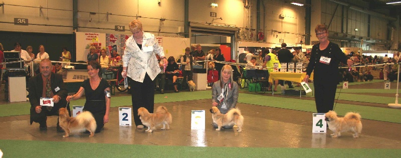 CH. p'zazz Logomania dite indi - 4° excellent