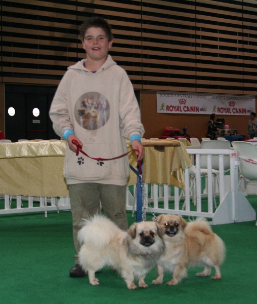 CH. p'zazz Logomania dite indi - 2° excellent