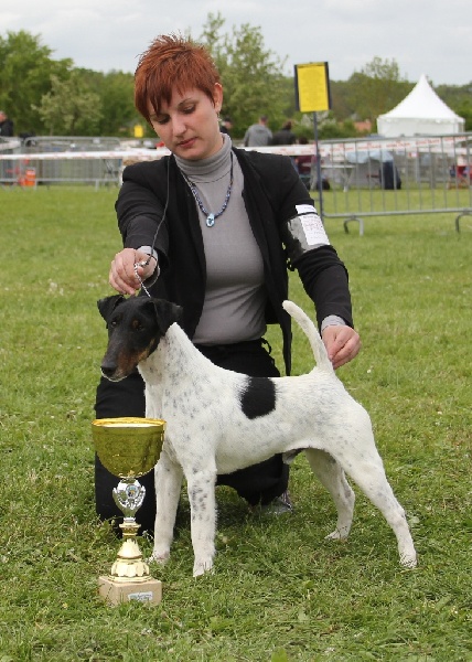 Publication : du Manoir Saint Adrien Auteur : Magali BRETON