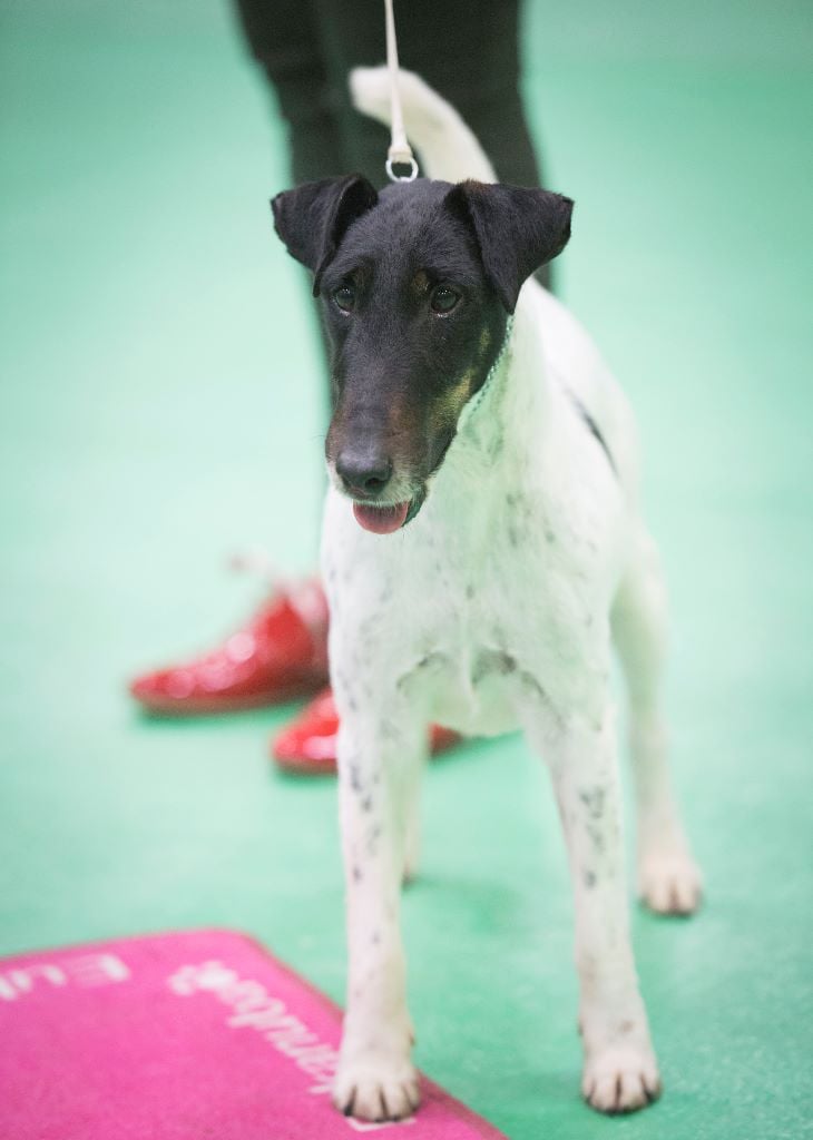 Publication : du Manoir Saint Adrien Auteur : Magali BRETON