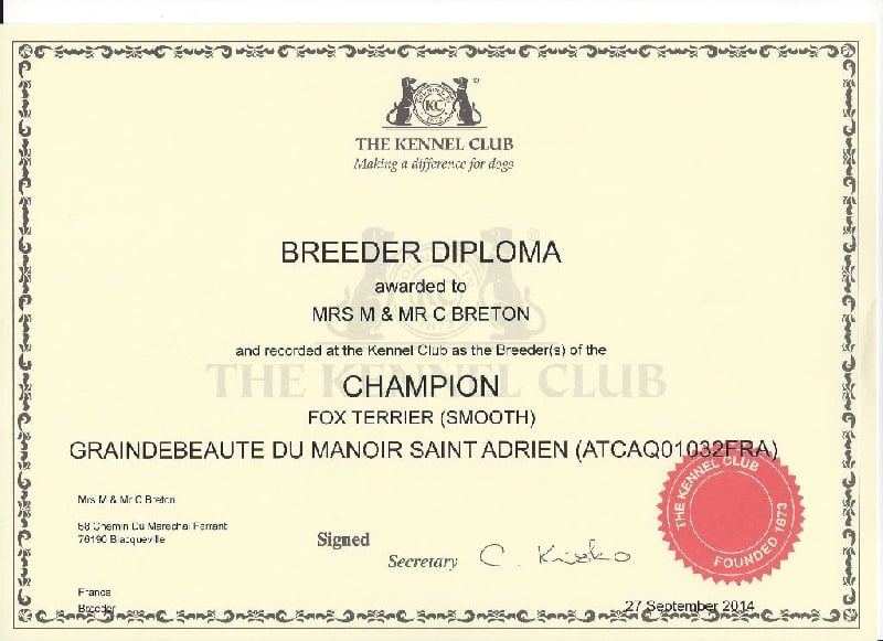 Publication : du Manoir Saint Adrien Auteur : Magali BRETON