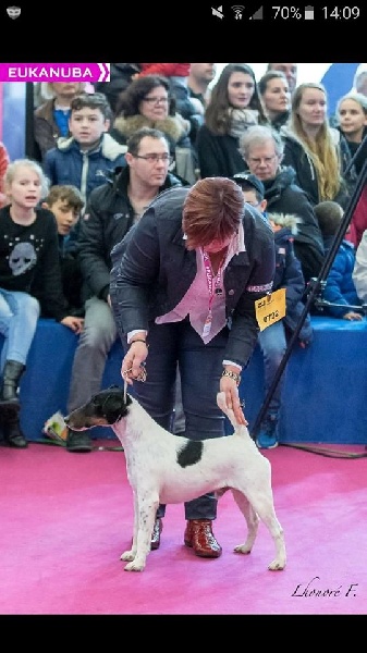 Publication : du Manoir Saint Adrien Auteur : Magali BRETON