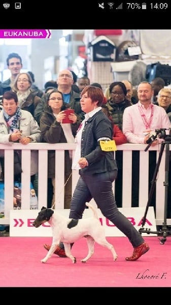 Publication : du Manoir Saint Adrien Auteur : Magali BRETON