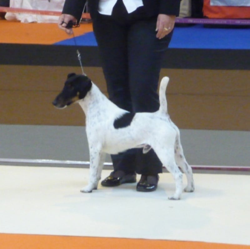 Publication : du Manoir Saint Adrien Auteur : Magali BRETON