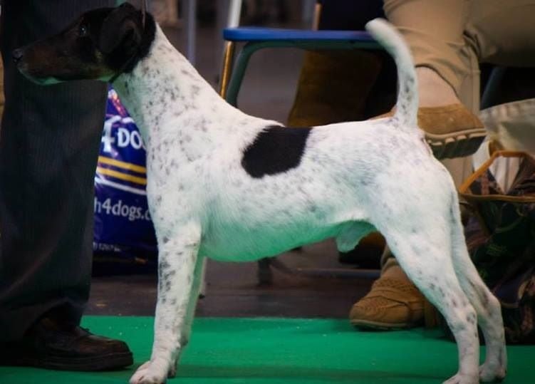 Publication : du Manoir Saint Adrien Auteur : Magali BRETON