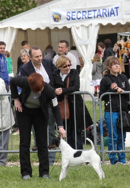 Publication : du Manoir Saint Adrien Auteur : Magali BRETON