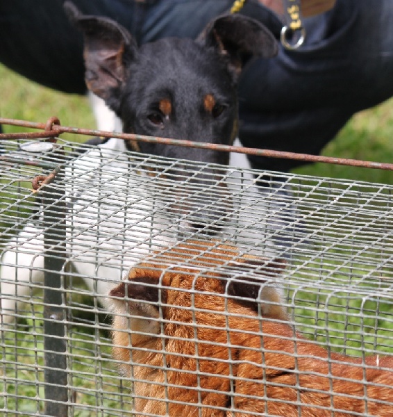 Publication : du Manoir Saint Adrien Auteur : Magali BRETON