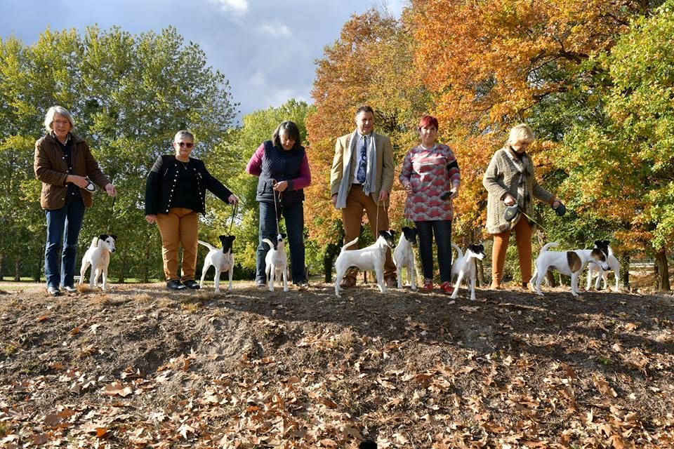 Publication : du Manoir Saint Adrien Auteur : Magali BRETON