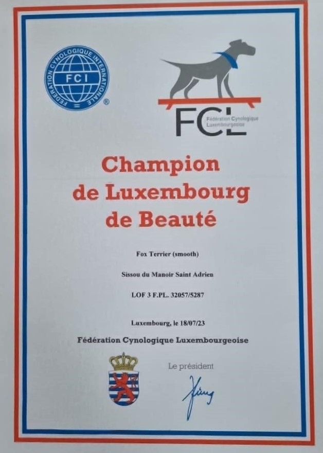 Publication : du Manoir Saint Adrien