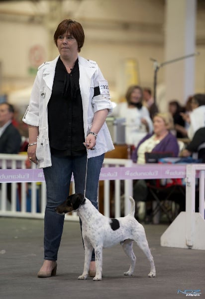 Publication : du Manoir Saint Adrien Auteur : Magali BRETON