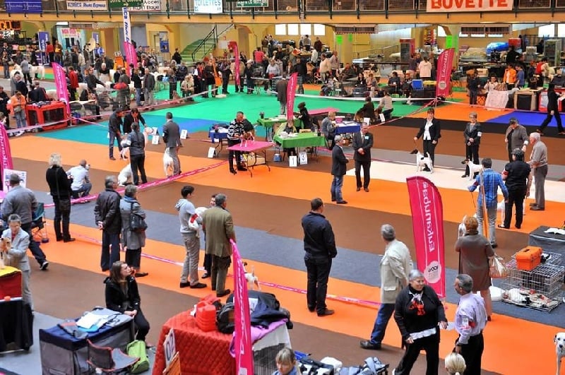 Publication : du Manoir Saint Adrien Auteur : Magali BRETON