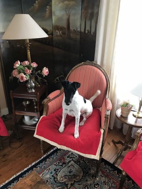 Publication : du Manoir Saint Adrien Auteur : Magali BRETON