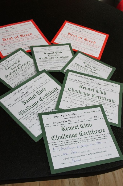 Publication : du Manoir Saint Adrien Auteur : Magali BRETON