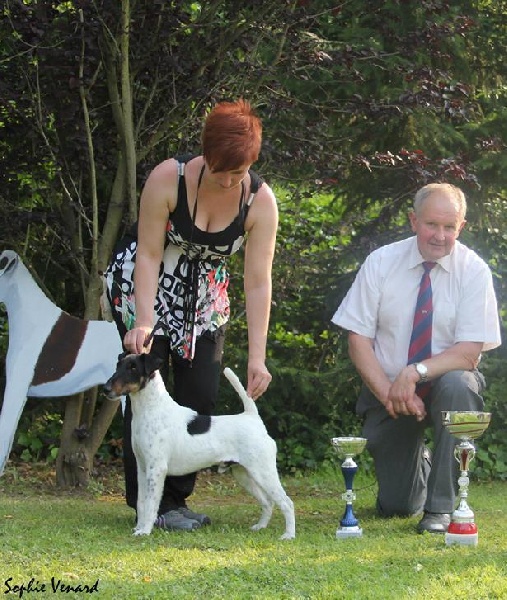 Publication : du Manoir Saint Adrien Auteur : Magali BRETON