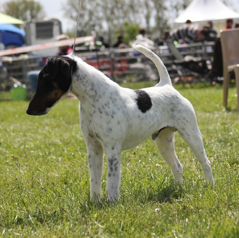 Publication : du Manoir Saint Adrien Auteur : Magali BRETON