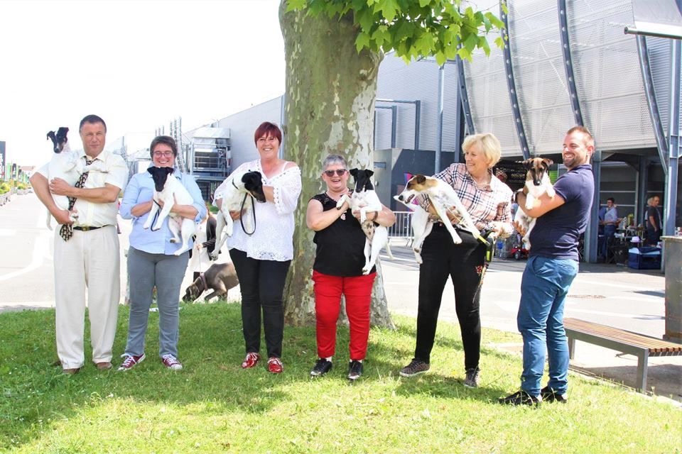 Publication : du Manoir Saint Adrien Auteur : Magali BRETON