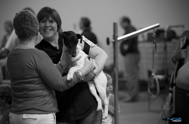 Publication : du Manoir Saint Adrien Auteur : Magali BRETON