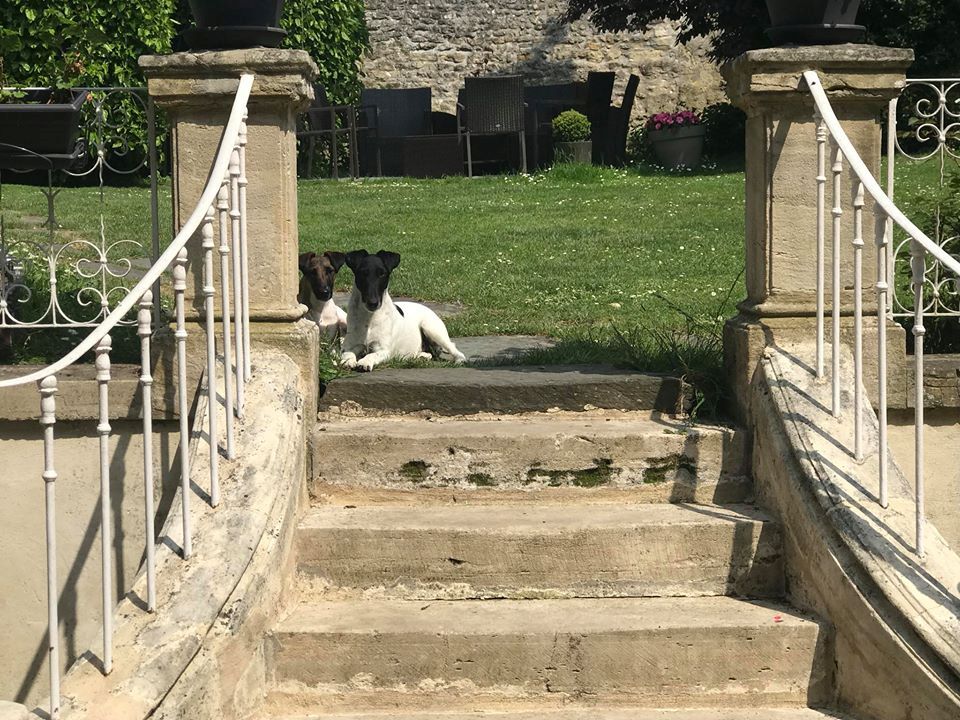 Publication : du Manoir Saint Adrien Auteur : Magali BRETON