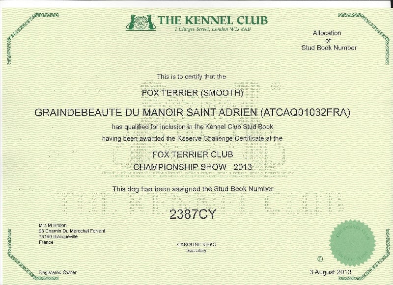 Publication : du Manoir Saint Adrien Auteur : Magali BRETON