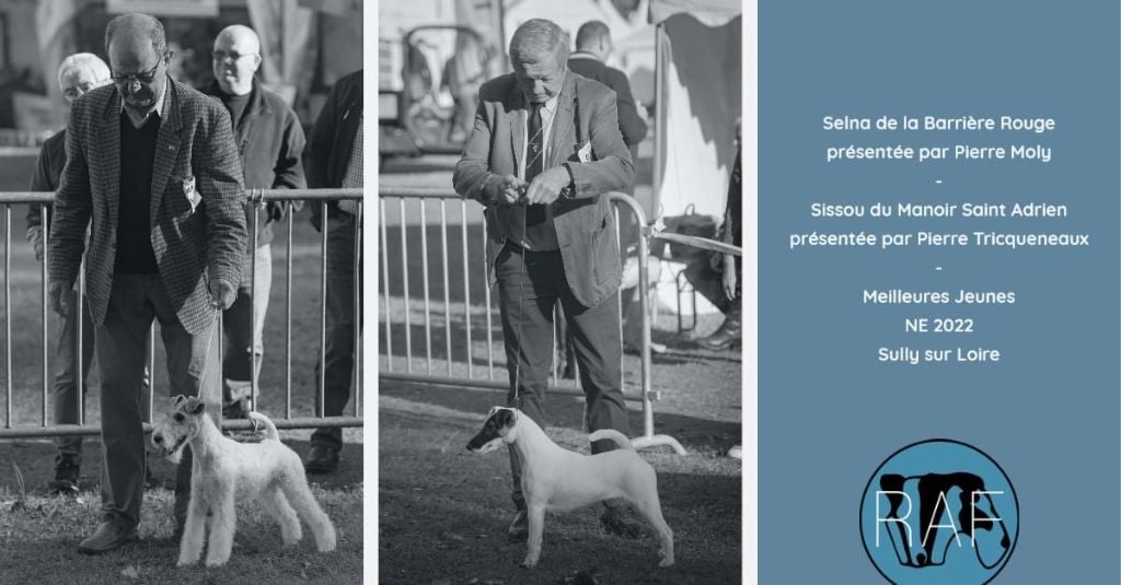 Publication : du Manoir Saint Adrien