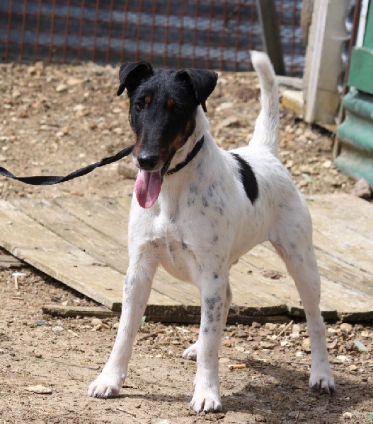 Publication : du Manoir Saint Adrien Auteur : Magali BRETON