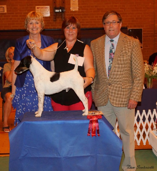 Publication : du Manoir Saint Adrien Auteur : Magali BRETON