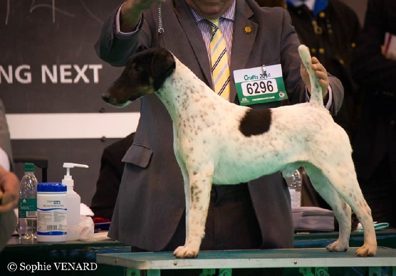 Publication : du Manoir Saint Adrien Auteur : Magali BRETON