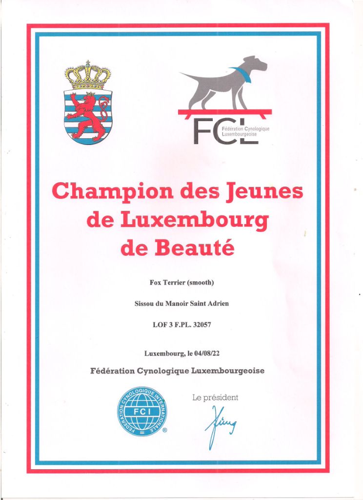 Publication : du Manoir Saint Adrien