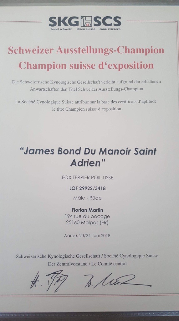 Publication : du Manoir Saint Adrien  