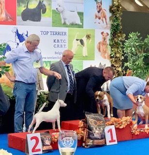 Publication : du Manoir Saint Adrien