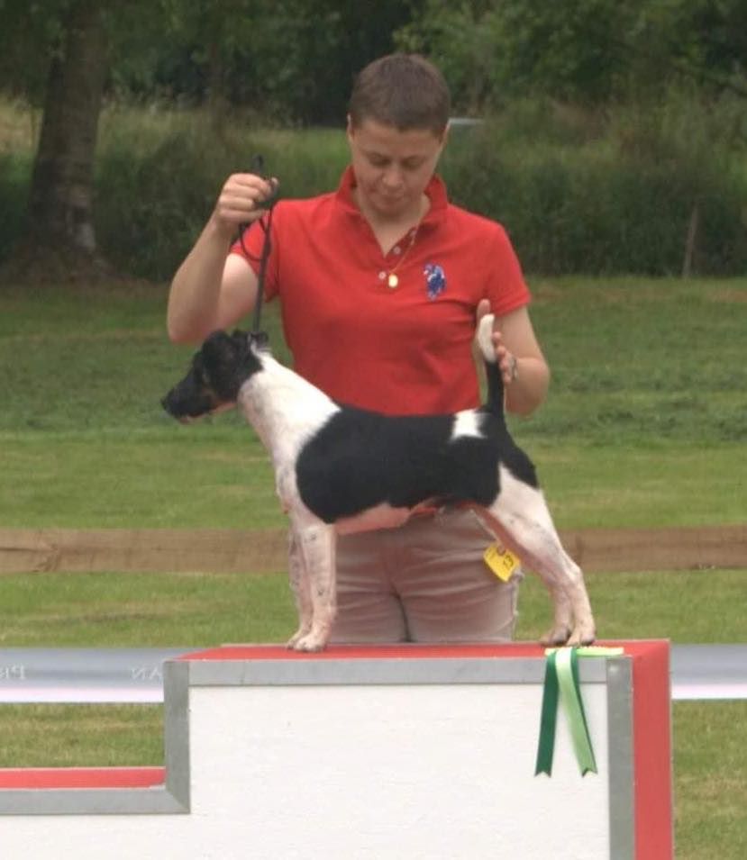 Publication : du Manoir Saint Adrien Auteur : Florence VAROTEAUX