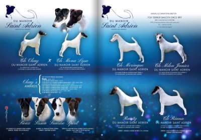 du Manoir Saint Adrien