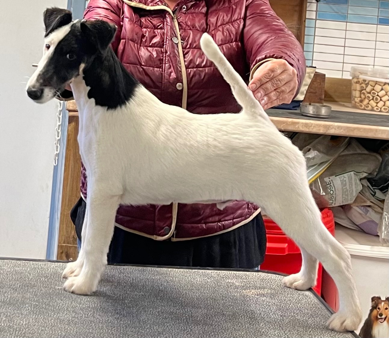 ARIZONA MANOIR SAINT ADRIEN