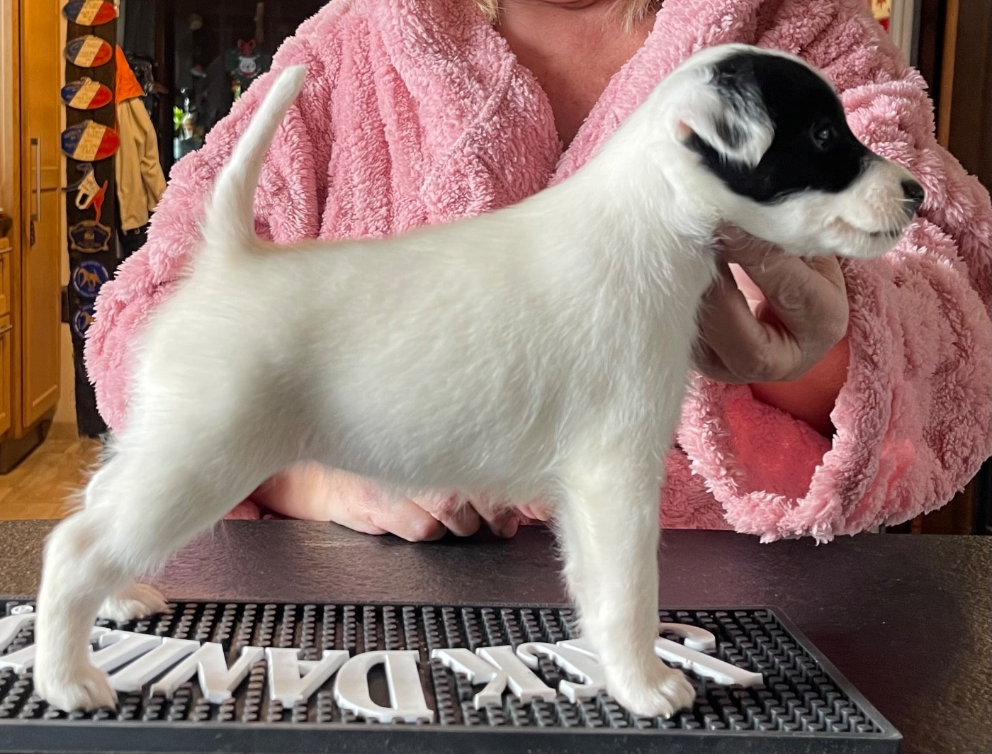 ALESSIA DU MANOIR SAINT ADRIEN