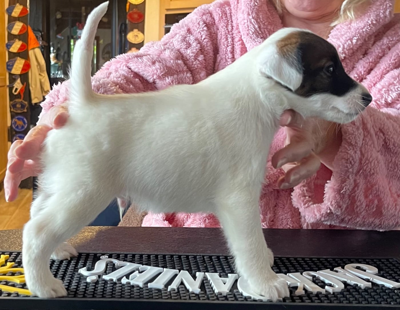 AL PACINO DU MANOIR SAINT ADRIEN