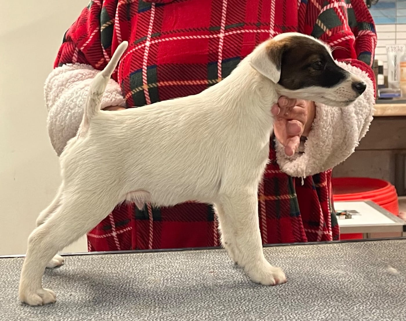 AL PACINO DU MANOIR SAINT ADRIEN