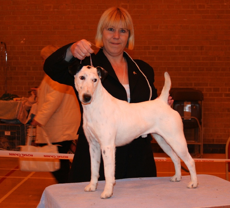 Belfox Folk dit milou - Reserve Challenge Certificate