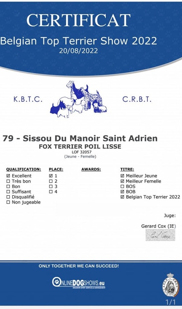 CH. Sissou du Manoir Saint Adrien - 1er EXC - MEILLEUR JEUNE - MEILLEUR FEMLLE - MEILLEUR DE RACE