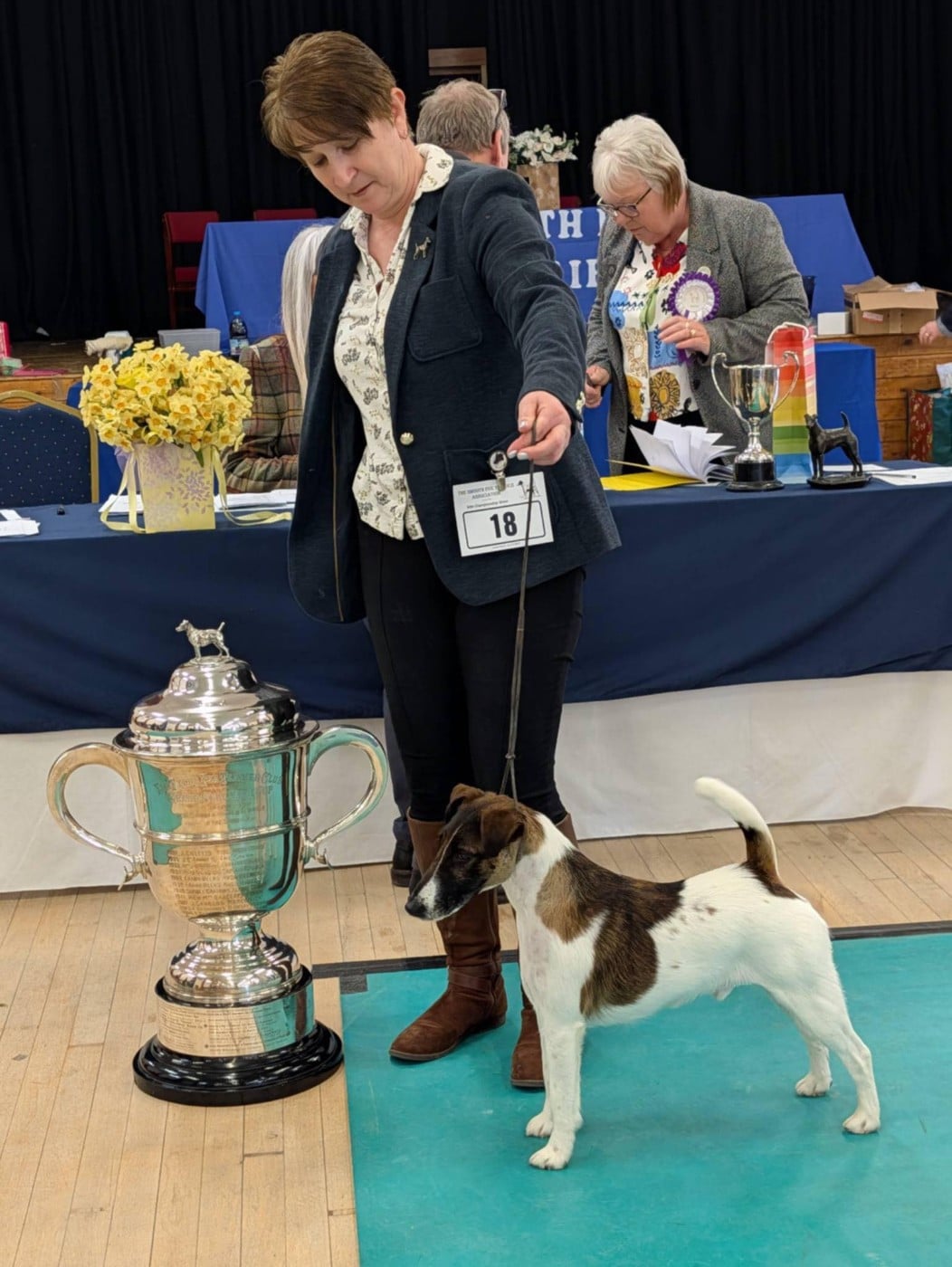 CH. Indian spirit du Manoir Saint Adrien - 1er class Open Dog avec attribution du CC & MEILLEUR DE RACE & A REMPORTE LE GROUPE TERRIER