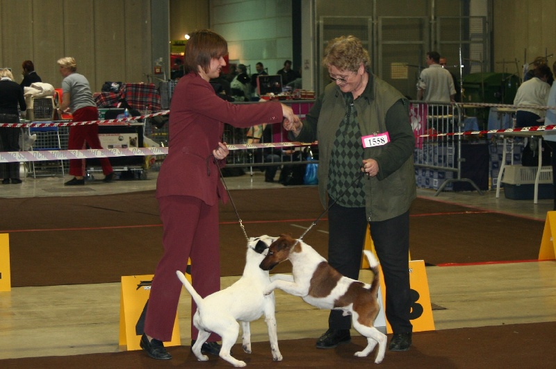 Belfox Folk dit milou - 2ème Excellent - RCACL