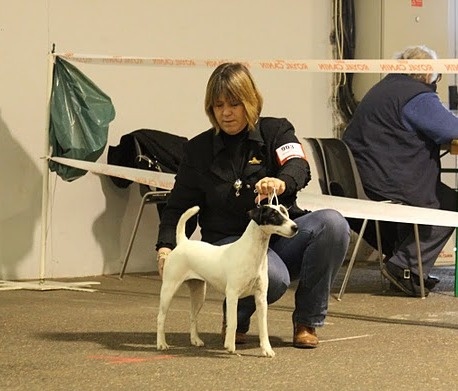 Eden park du Manoir Saint Adrien - 3ème excellente