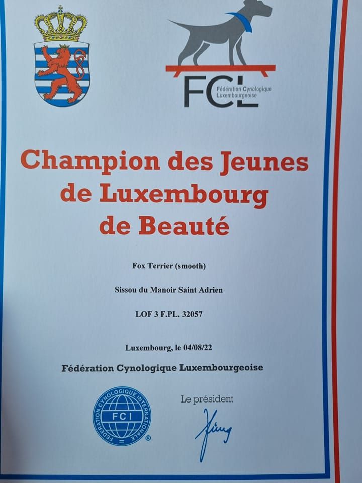 CH. Sissou du Manoir Saint Adrien - 1er EXC - MEILLEUR JEUNE - BOJ - En classe Jeune Femelle