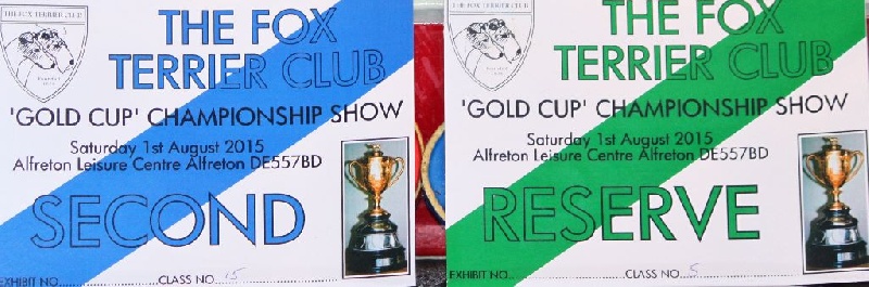 CH. Indian spirit du Manoir Saint Adrien - (Second) 2ème en class Open Bitch