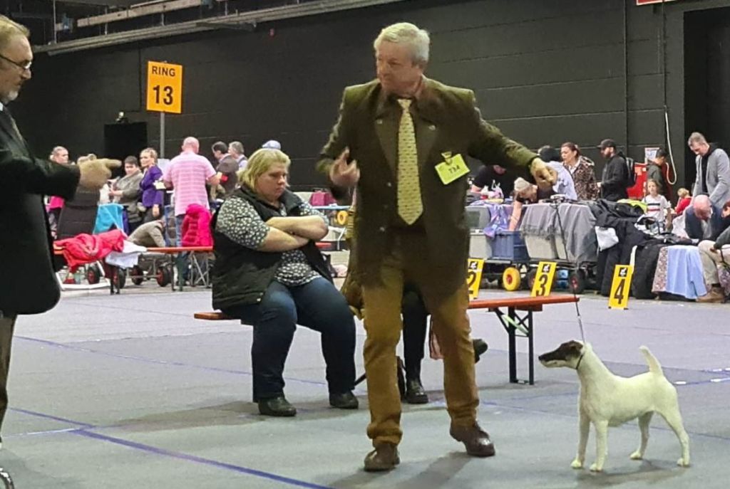 CH. Sissou du Manoir Saint Adrien - 1er EXC CACS/CACIB BOS MEILLEUR SEXE OPPOSE