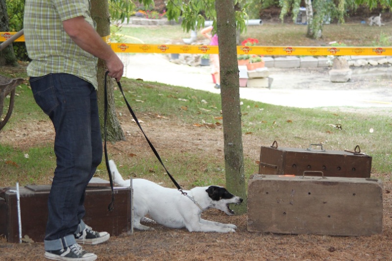 Eden park du Manoir Saint Adrien - 114/150 points 2ème très bon