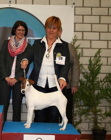 CH. Indian spirit du Manoir Saint Adrien - 1ère EXC+ BEST CHAMPION