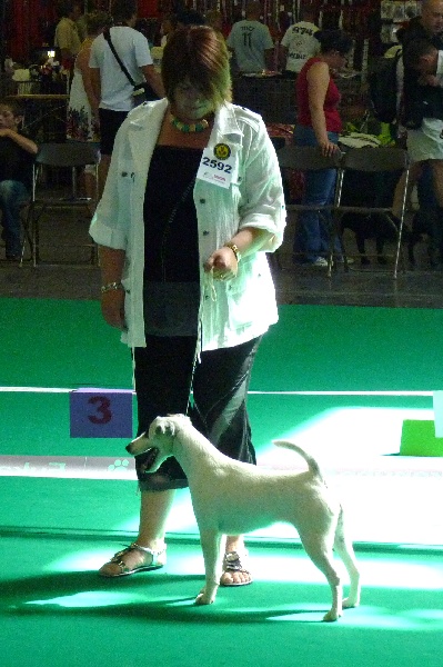 Eden park du Manoir Saint Adrien - 2ème Excellent - RCACS-RCACIB