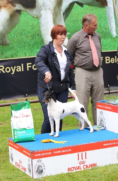 CH. Fantastic du Manoir Saint Adrien - 3ème excellent en classe ouverte mâle